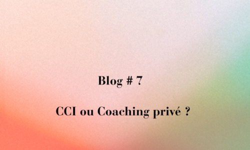CCI ou Coaching Stratégique : deux forces complémentaires pour réussir sa création d’entreprise